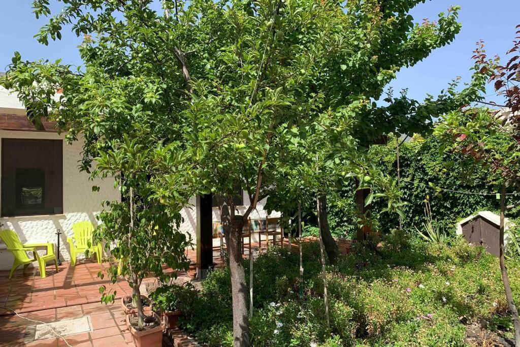 Villa Casa Tranquilla A Pochissimi Passi Dal Mare Sant'Andrea  Exterior foto