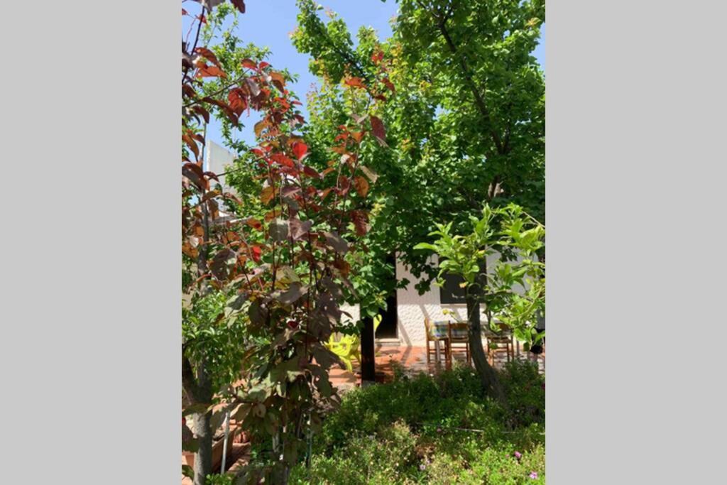 Villa Casa Tranquilla A Pochissimi Passi Dal Mare Sant'Andrea  Exterior foto