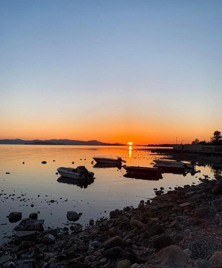 Villa Casa Tranquilla A Pochissimi Passi Dal Mare Sant'Andrea  Exterior foto